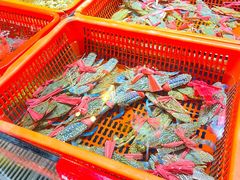 -巽寮印象美食部落餐厅·海鲜·地方特色菜(惠州体验店)