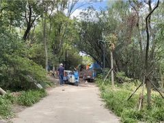 -上海吴淞炮台湾国家湿地公园