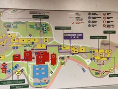 -香港大学