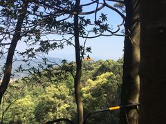 -广州市帽峰山景区