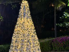 -海南清水湾莱佛士酒店