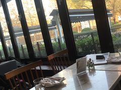 靠窗位-the rug 飞毯 (朝阳公园店)