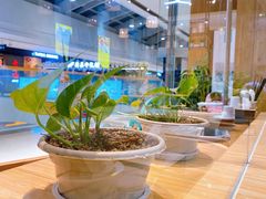 -百年龙袍蟹黄汤包(融创茂店)