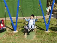 -上海海湾国家森林公园