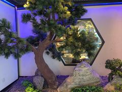 -绿茶餐厅(成都大悦城店)