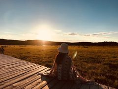 -塞罕坝国家级自然保护区