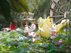 -河北村民俗体验园