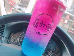 -夏叶茶(大光明店)