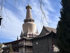 -张掖大佛寺景区