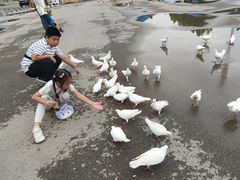 -泉城欧乐堡海洋极地世界