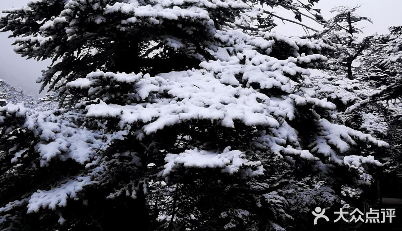 木格措雪景图片