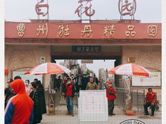 -曹州百花园