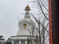 -护国法轮寺