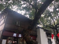 -乌山风景区