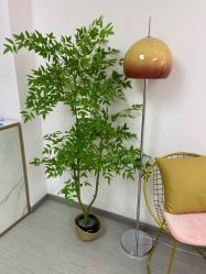 -变美丽半永久纹眉连锁·机器野生眉·洗眉