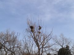 -北京西山国家森林公园