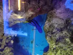 -上和臻品中国菜(花园街店)