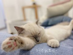 -FULL MOON满月咖啡