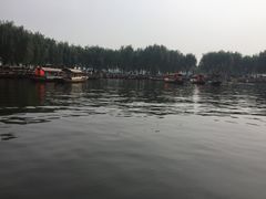 -白洋淀景区