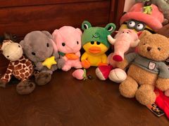 -PAWTOY爪e玩偶店(天兴罗斯福店)