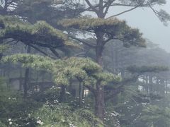 -黄山白云宾馆
