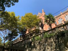 -上海佘山国家森林公园西佘山园