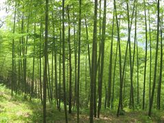 -藏龙百瀑风景区