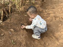 -房山世界地质公园博物馆