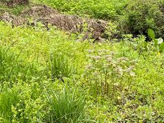 -秦岭终南山世界地质公园翠华山景区