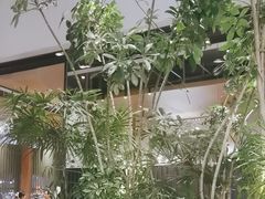 -gaga(深圳福田星河COCO Park店)
