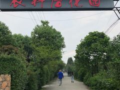 -郫都区农科村景区
