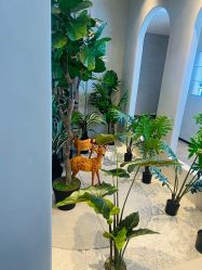 -悦润荟美容抗衰中心