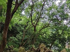 -杭州黄龙洞
