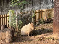 -合肥野生动物园