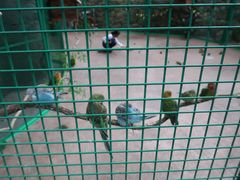 -杭州开元森泊度假乐园