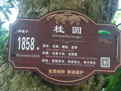 -张坝桂圆林公园
