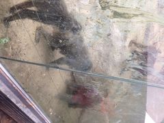 iphone_upload_pic-福州动物园