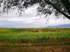 -野鸭湖国家湿地公园