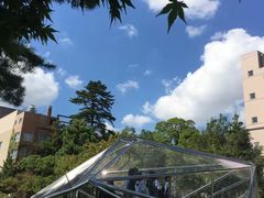 -金泽21世纪美术馆