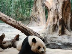 -禧粤YUE HOTEL(广州公园前地铁站店)