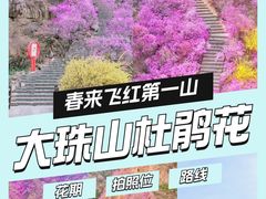 -青岛大珠山景区