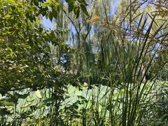 -立城苑小金星幼儿园