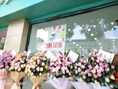 -紫霞湖公园