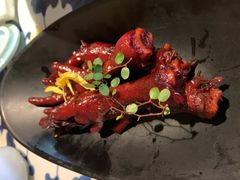 吮指鸡爪-桂满陇天书(南京德基旗舰店)