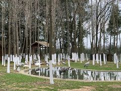 -艾溪湖湿地公园