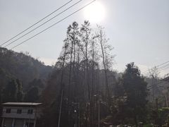 -都江堰普照寺