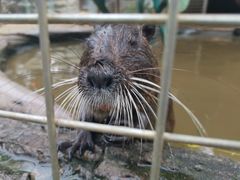 -青岛森林野生动物世界