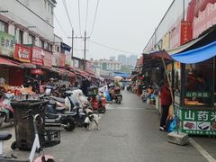 -树木岭集贸市场(劳动东路)