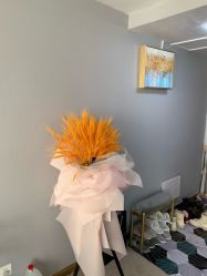 -첫번째 初见美学中心