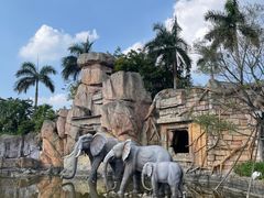 -美的鹭湖探索王国